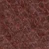 skin35