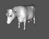 cow_pic
